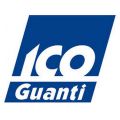 ICOGUANTI