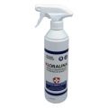 KLORALINA SPRAY IGIEN.ALCOOL/OSSIG.500ml